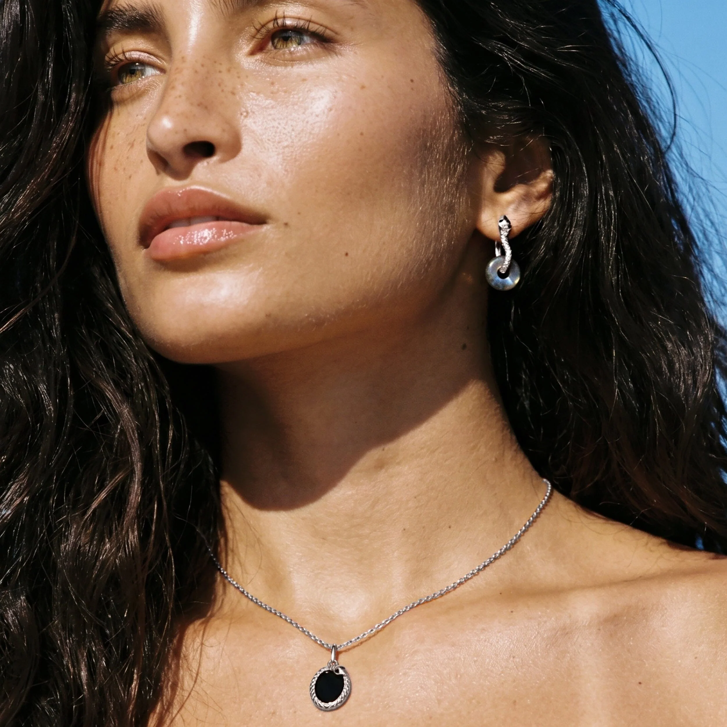 Labradorite Earrings - Serpent - Image 5